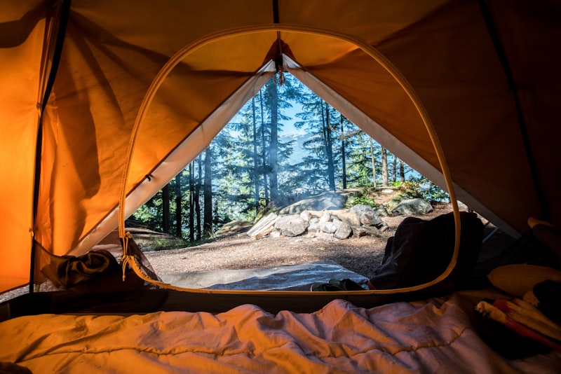 Primitive campsite under the trees